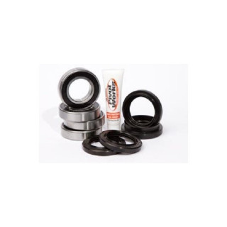 ROULEMENTS ROUE AVANT PIVOT WORKS 350 WOLVERINE 02/09 ET JOINTS