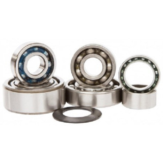 KIT ROULEMENTS DE BOITE DE VITESSE TRX 450 ER 06/14 HOT RODS