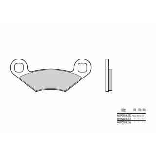PLAQUETTES DE FREIN ARRIERE BREMBO RZR 800 800S