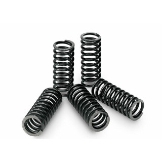KIT RESSORTS D'EMBRAYAGE RENFORCES GAS GAS 450 WILD HP 04/08