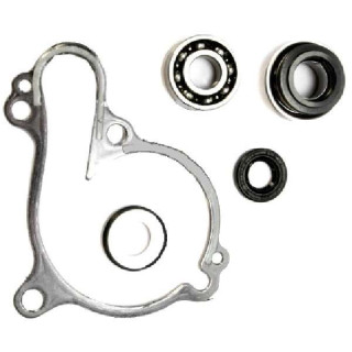 KIT JOINTS ROULEMENT POMPE A EAU YFZ 450 R 09/13