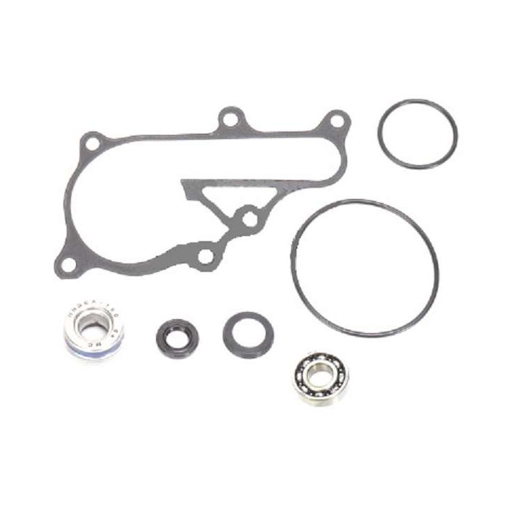 KIT JOINTS ROULEMENT POMPE A EAU HOT RODS 700 RAPTOR