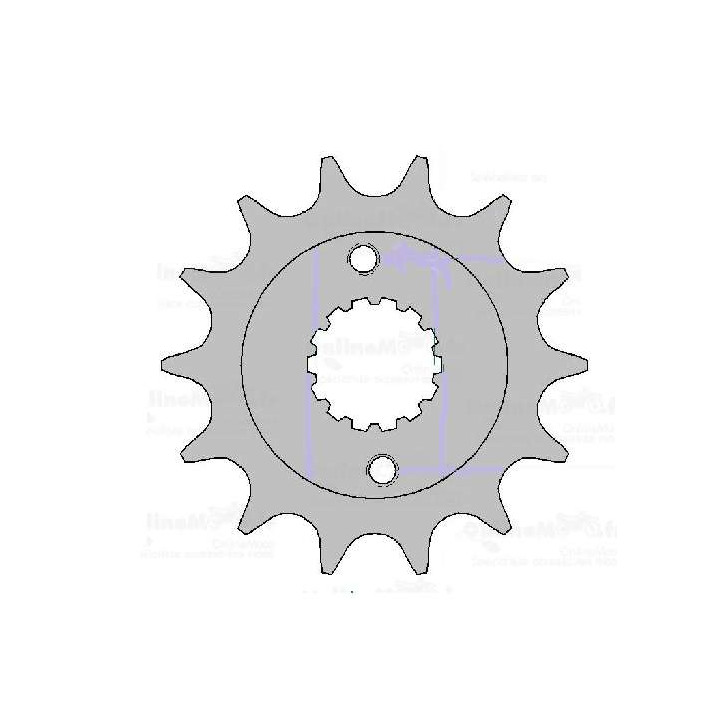 PIGNON 15 DENTS AFAM KXR 250 03/13