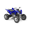 Raptor 250