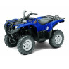 Grizzly 550 