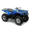 Grizzly 300