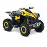 Renegade 800