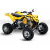 DS 450