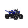 90 Raptor