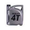 HUILES MOTEUR 4T