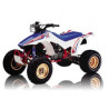 TRX 250